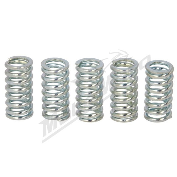 TRW Clutch springs set Suzuki GN / GZ / TU 125 94-11
