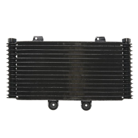 4Ride Radiator SUZUKI GSF 1200 2001-2006
