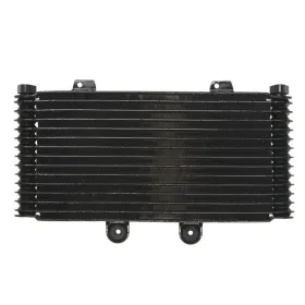 4Ride Radiator SUZUKI GSF 1200 2001-2006
