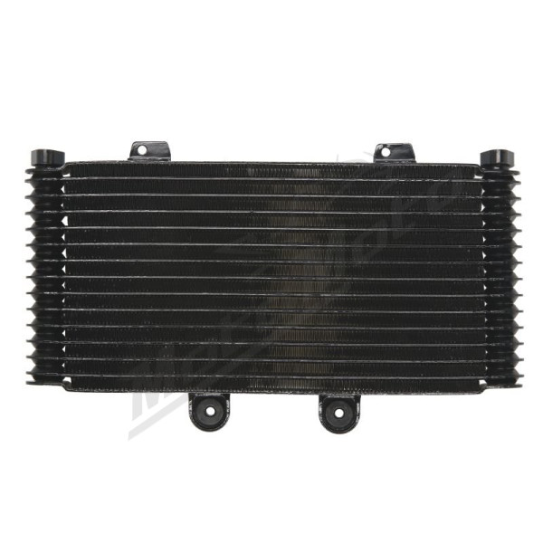 4Ride Radiator SUZUKI GSF 1200 2001-2006
