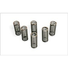 CLUTCH SPRING KIT Suzuki RM250 06-08