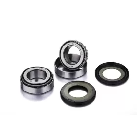 FACTORY LINKS Priekinio rato guolių rinkinys Kawasaki Teryx KRX 1000 20-23