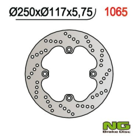 NG BRAKES Fixed Rear Brake Disc 250mm Suzuki AN 650cc 02-03