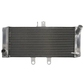 4Ride Radiator Suzuki GSF / GSX 650-1250cc 07-16