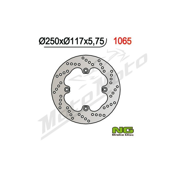 NG BRAKES Fixed Rear Brake Disc 250mm Suzuki AN 650cc 02-03