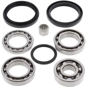 ALL BALLS Rear Differential Bearing & Seal Kit Arctic Cat Thundercat / Prowler / TRV 700-1000 08-17