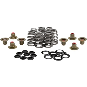 KIBBLEWHITE Beehive Valve™ Spring Kit Harley Davidson FLDE / FLFB / FLHR / FLHTK / FLSB / FLSL / FXBR / FXLR / FXST 1750-1868 17-26
