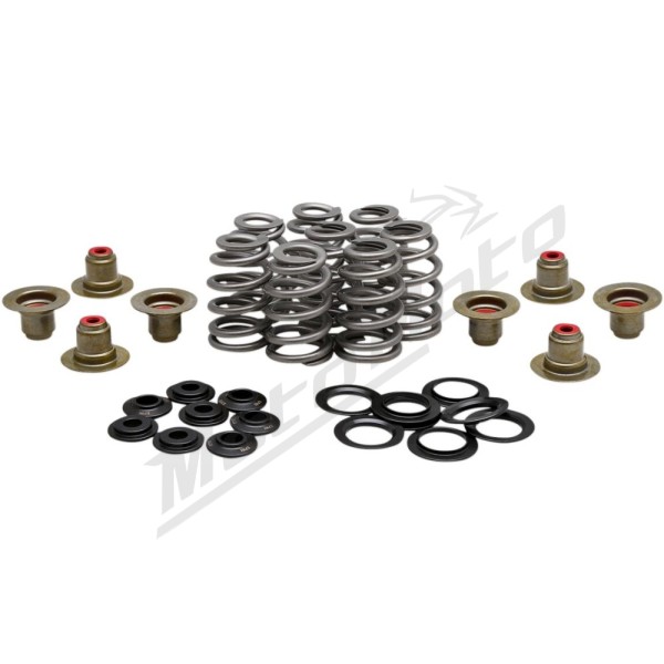 KIBBLEWHITE Beehive Valve™ Spring Kit Harley Davidson FLDE / FLFB / FLHR / FLHTK / FLSB / FLSL / FXBR / FXLR / FXST 1750-1868 17-26