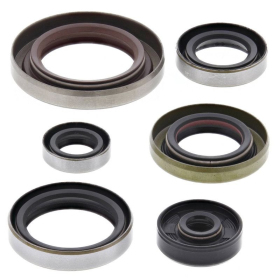 Winderosa (vertex) set (set) of engine seals KTM SX 65 09-22