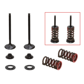Psychic 2024/03 exhaust valves (valve set with springs and washers) Kawasaki / Suzuki 250cc 04-16