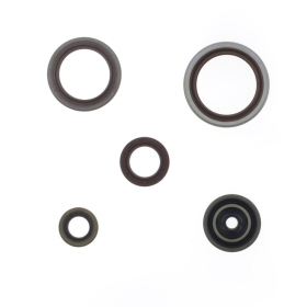 ATHENA Engine Oil Seal BETA RR 250-300 13-24