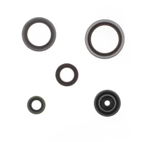 ATHENA Engine Oil Seal BETA RR 250-300 13-24