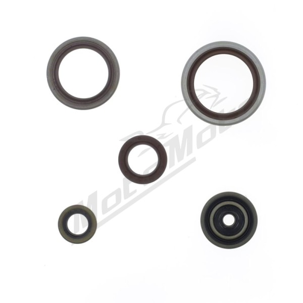 ATHENA Engine Oil Seal BETA RR 250-300 13-24