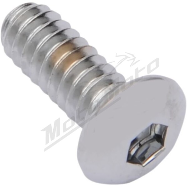 DRAG SPECIALTIES Replacement Button Head Bolts M5x0,8 (length 12mm) 10pcs.
