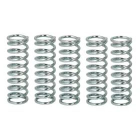 TRW Sankabos spyruoklių kompl. Honda / Suzuki 500-1100 89-11