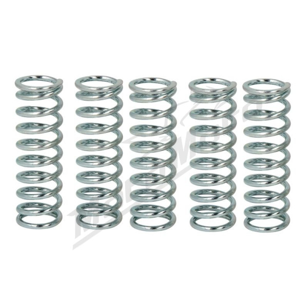 TRW Clutch springs set Honda / Suzuki 500-1100 89-11