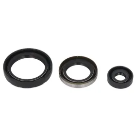 Winderosa Engine gaskets set (quantity per set 3 pcs) Polaris ATP / Big Boss / Magnum / Ranger / Scrambler / Sportsman / Trail Boss / Worker / Xplorer 325-500 95-14