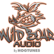 WILD BOAR AUDIO