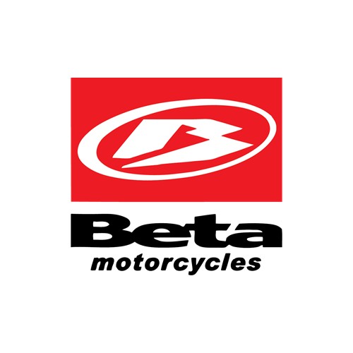 BETA REAR BRAKE DISCS