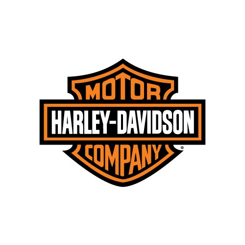 Harley Davidson PRIEKINIAI STABDŽIŲ DISKAI