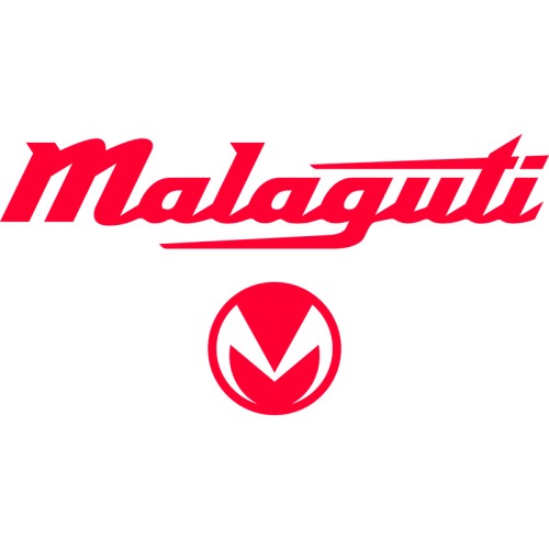MALAGUTI galiniai stabdžių diskai