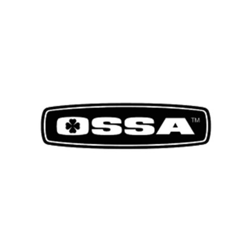 OSSA galiniai stabdžių diskai