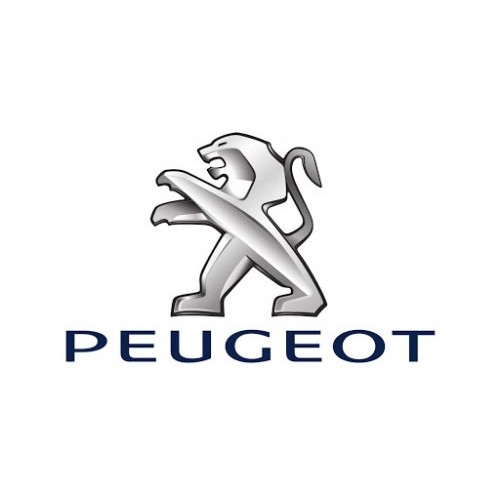 Peugeot top case holders 