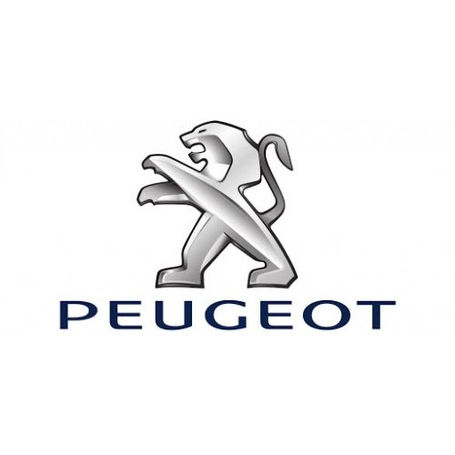 PEUGEOT TOP CASE HOLDERS 