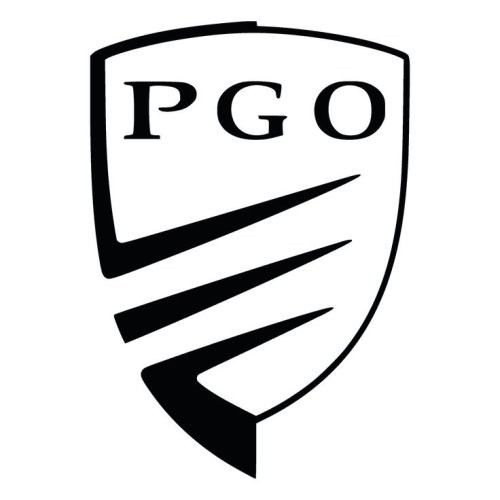 PGO galiniai stabdžių diskai