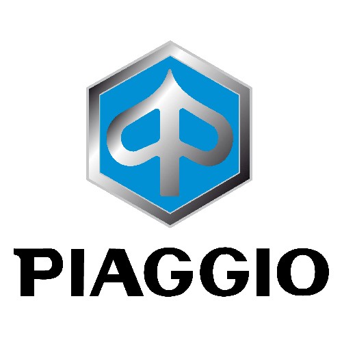 PIAGGIO galiniai stabdžių diskai