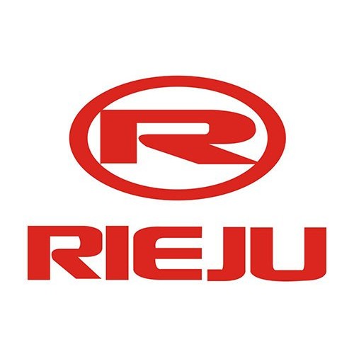 RIEJU galiniai stabdžių diskai