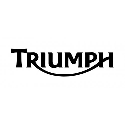 Triumph galiniai stabdžių diskai