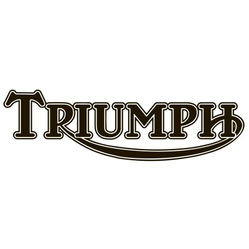 Triumph side case holders 