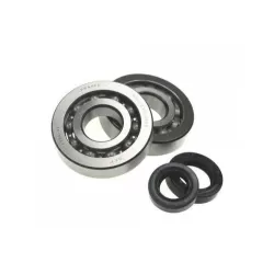 Peugeot 2 stroke / 4 stroke bearings / Oil seals kits