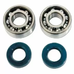 Derbi  bearings / Oil seals kits