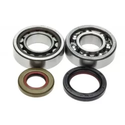 Honda 2 stroke / 4 stroke bearings / Oil seals kits