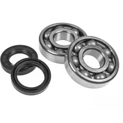 Yamaha 2 stroke / 4 stroke bearings / Oil seals kits