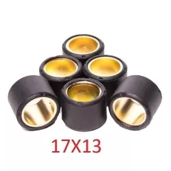 17x13 weights