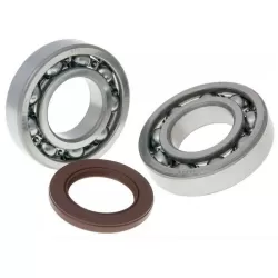 Suzuki 2 stroke / 4 stroke bearings / Oil seals kits