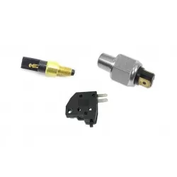 Stabdžių varlytės