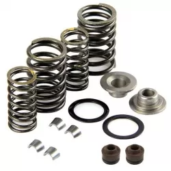 Valve springs / Fixators / Rubbers