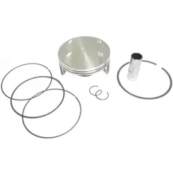 Pistons / rings / fixators