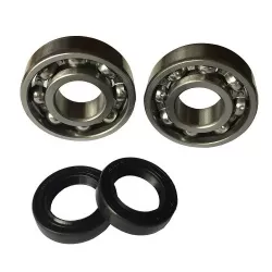 Bearings / Oil seals kits