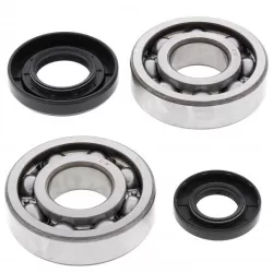 Bearings / Oil seals kits for other engines