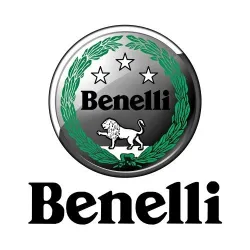 Benelli rear brake discs