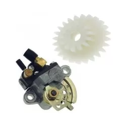 2 stroke scooters oil pumps / Their parts