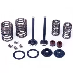 Valves / Rubbers / Valve parts
