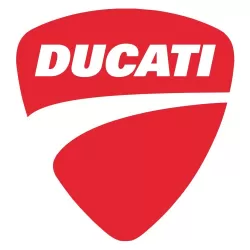 Ducati Radiator Guards / Grilles