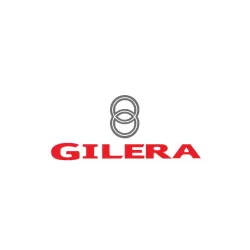 Gilera Front brake discs