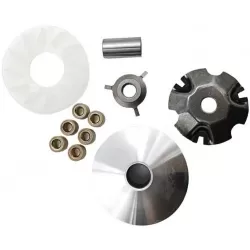 Variator parts